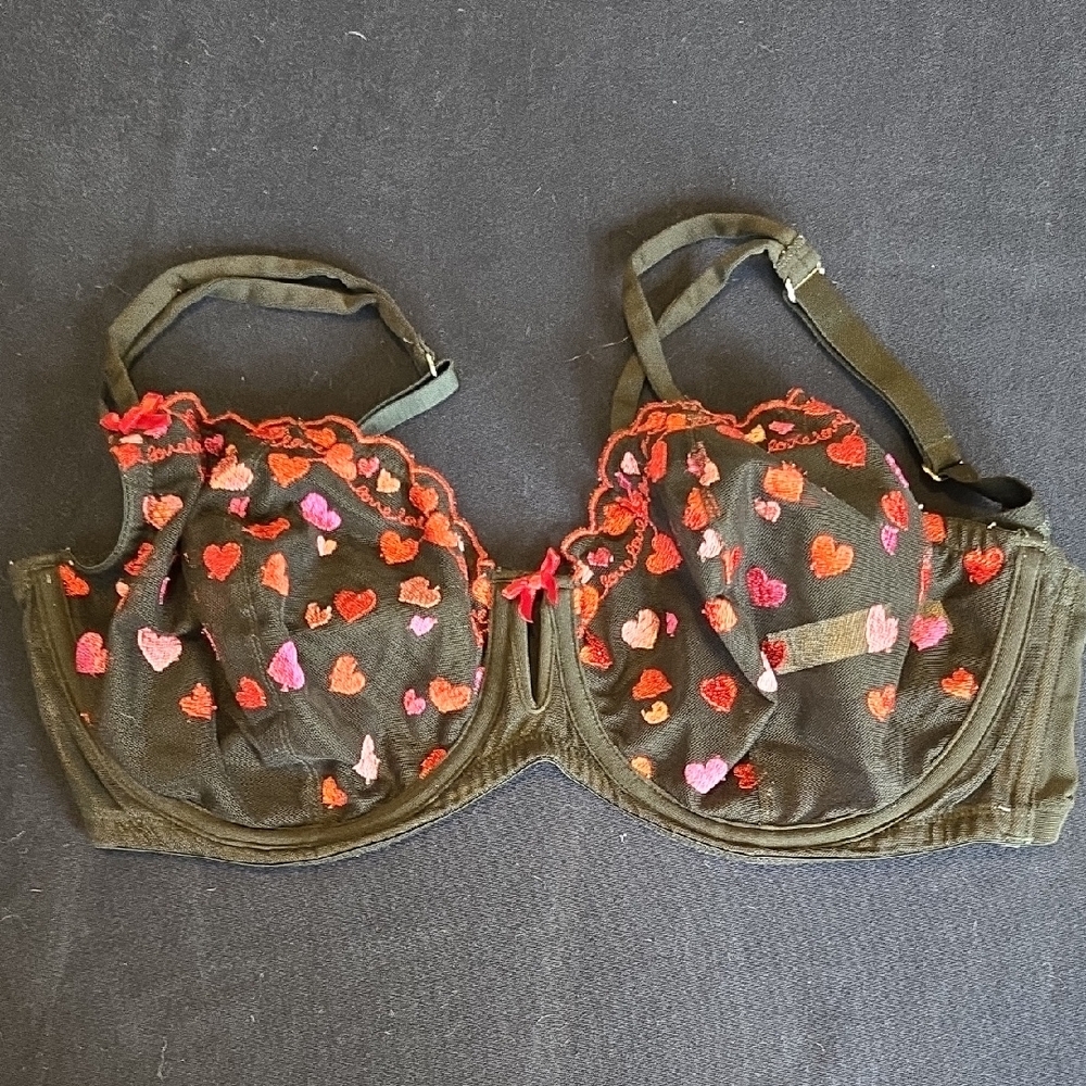 Embroidered Heart Mesh Bra